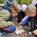Matematyczno-przyrodniczy spacer po Parku miejskim - zdjęcie