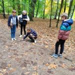 Matematyczno-przyrodniczy spacer po Parku miejskim - zdjęcie